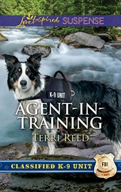 agent-in-training