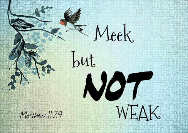 Meek but not Weak